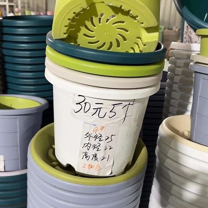 四季4#口径25无托纯白8个