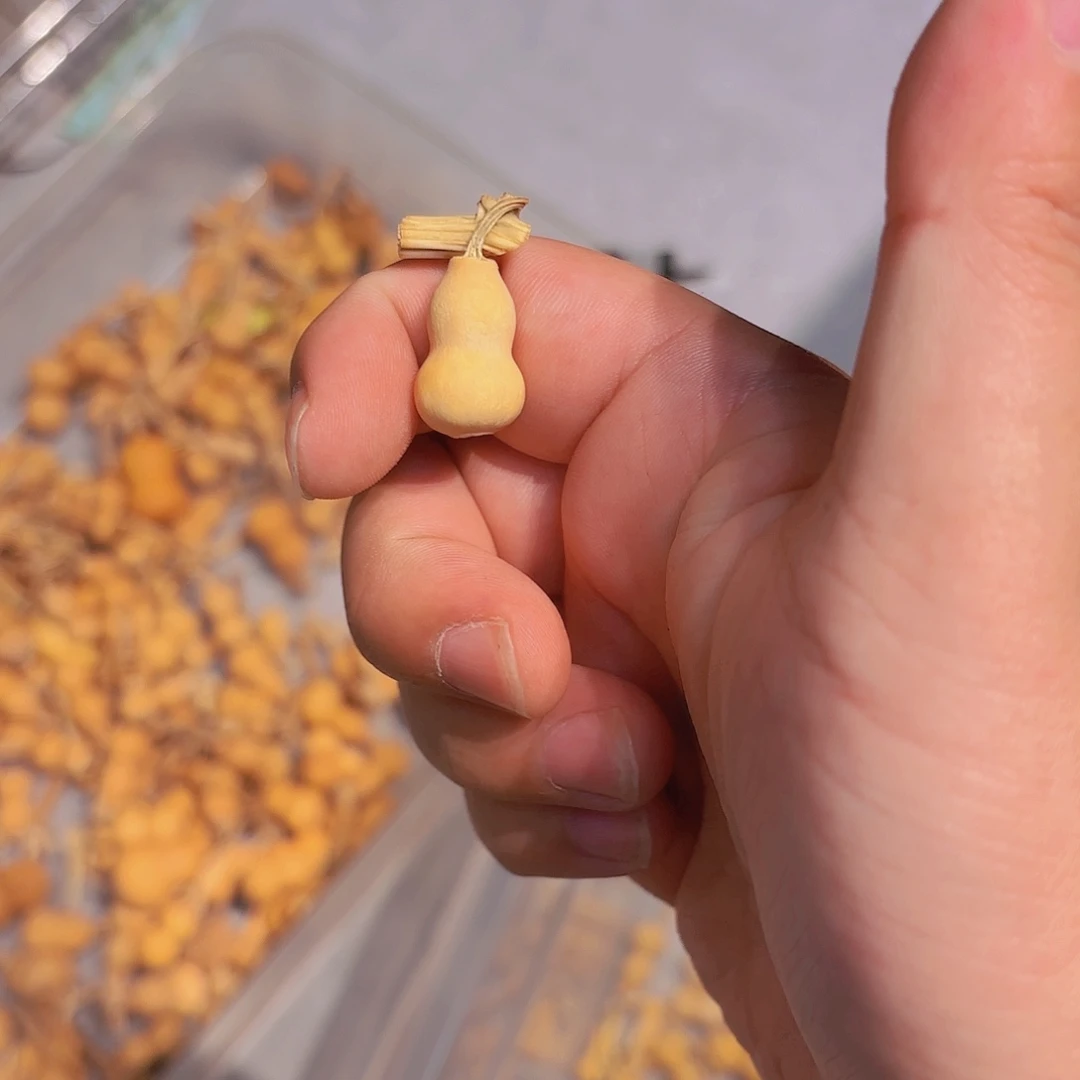 L****哈哈哈哈哈哈哈哈哈哈