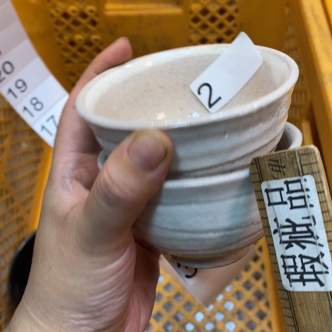 家里了家里了斤斤计较
