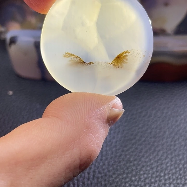 芳***林玛瑙/玉髓未镶嵌颈饰