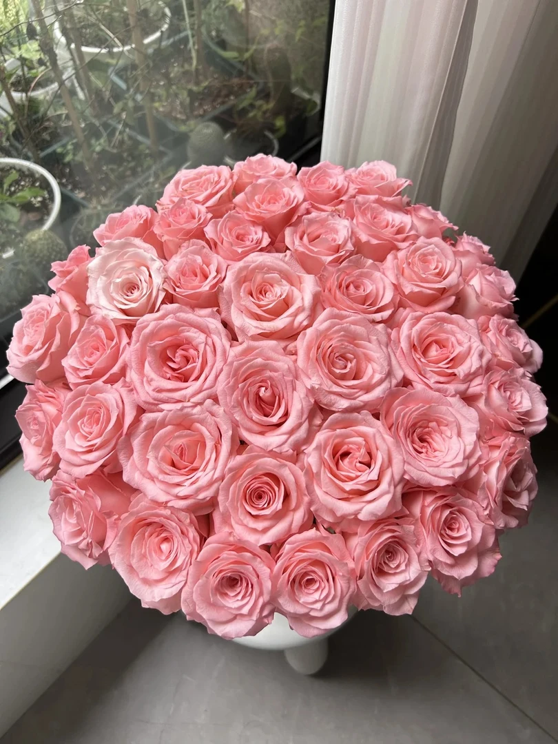 【戴安娜玫瑰】斗南鲜花稀有云南直发玫瑰鲜花两单包邮A