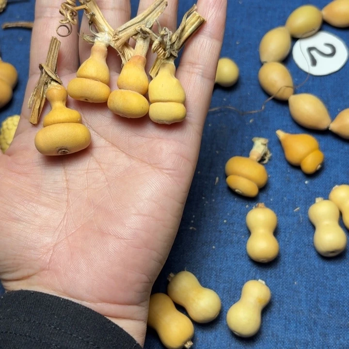 顽***咪精挑小钱袋葫芦，4个