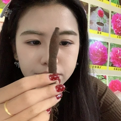 完全开放神*蛙玫瑰心