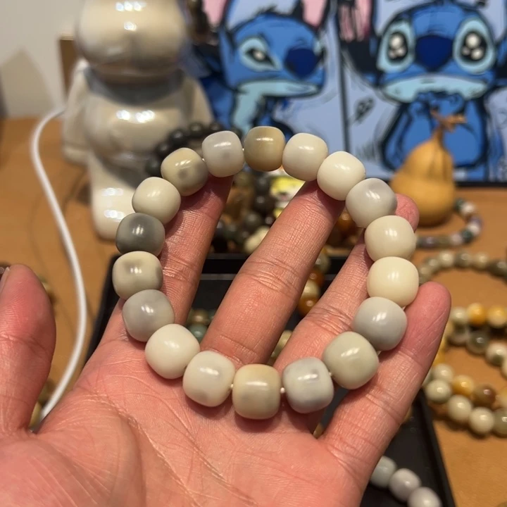 吊坠菩提根/象牙果