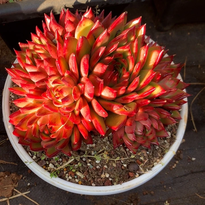 每周特价活动开始啦