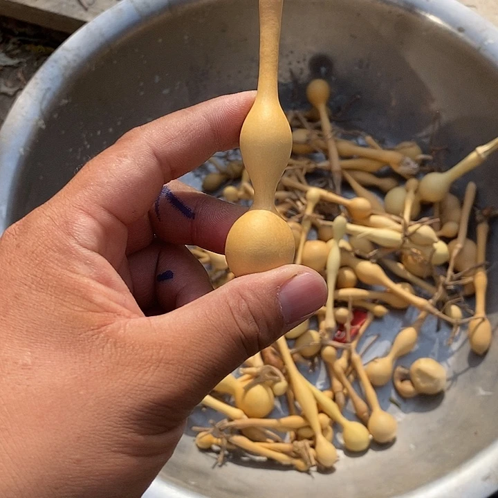 你***嘛手把精品文玩葫芦