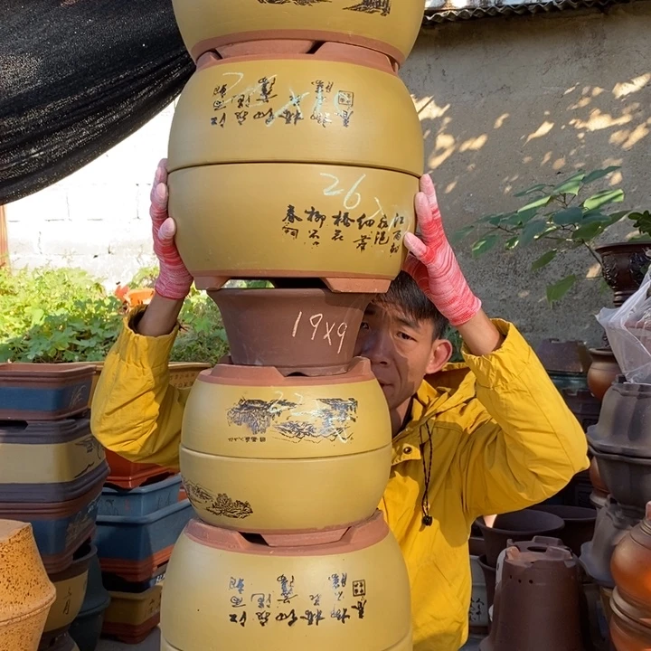 花盆紫砂紫砂特价包邮