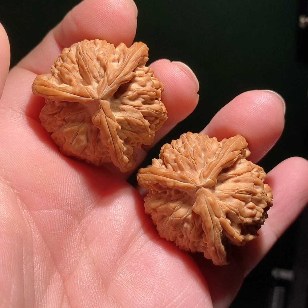 文玩核桃把件37白奔全品