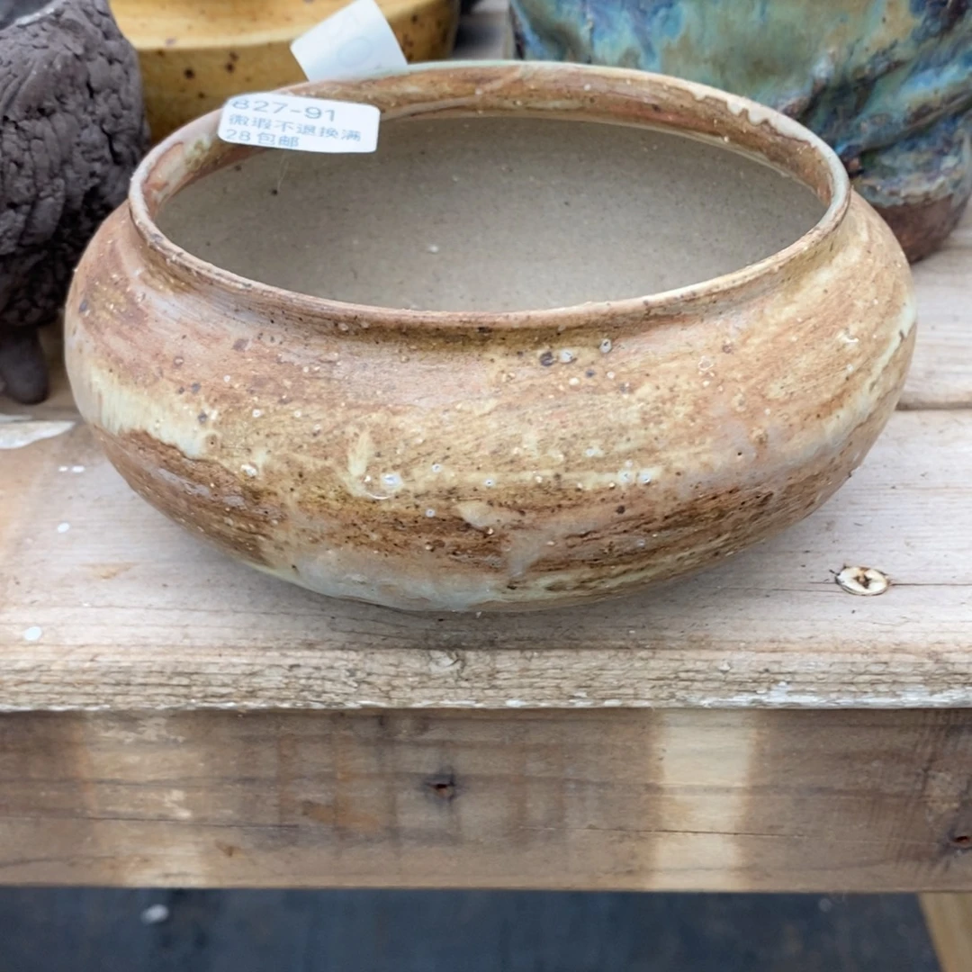 91号多肉盆口径12