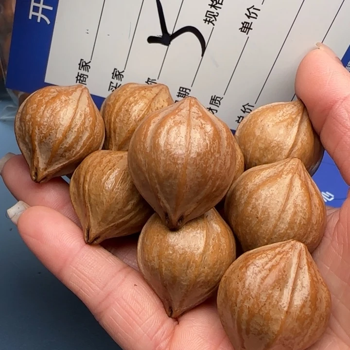 人***途橄榄核手串橄榄核