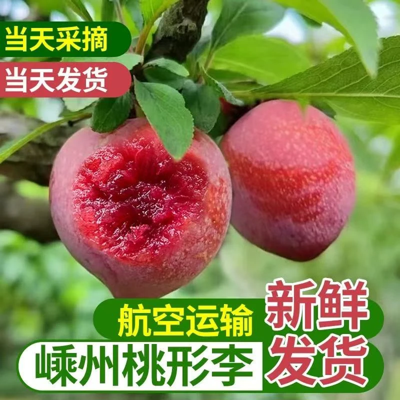正宗嵊州桃形李7月时令新鲜现摘脆甜浙江红心李子特大果孕妇佳品