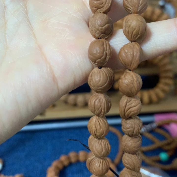 木质铁合金坦***倌陕西秦岭野生小金龙