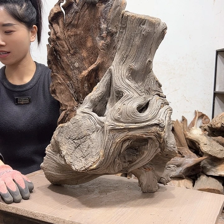 柏木轩**龙我们都是好孩子
