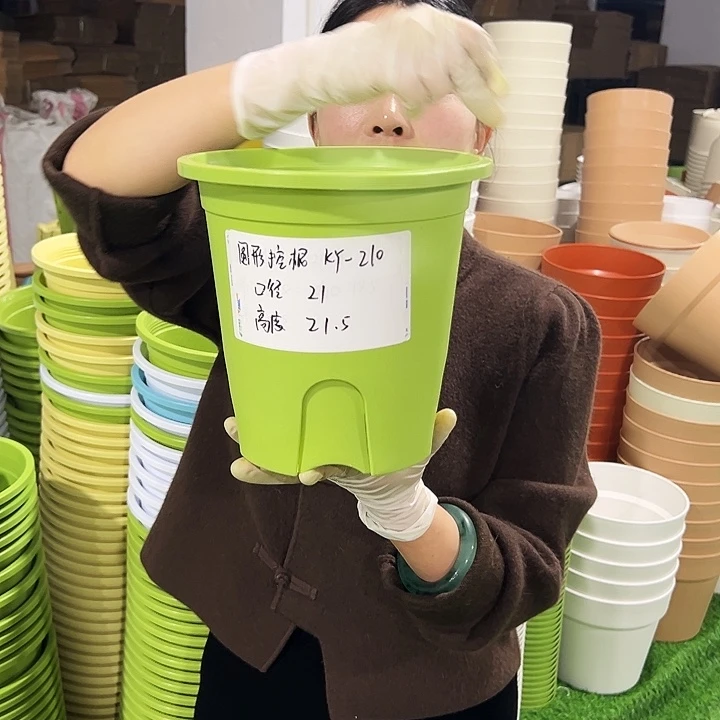 正品圆控口21高21果绿8只无托