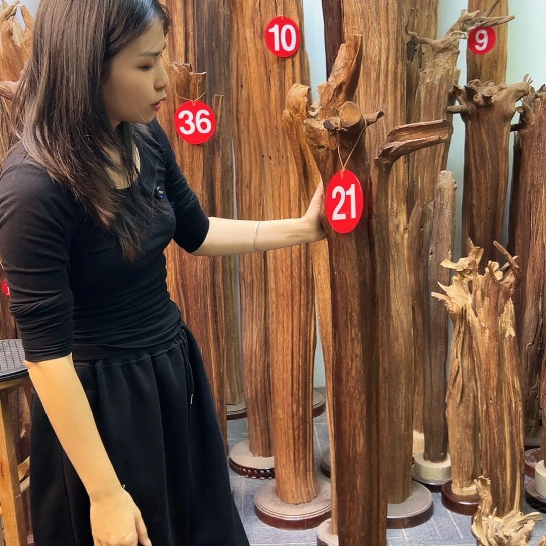 沉香碎屑沉香天然沉香原料香料