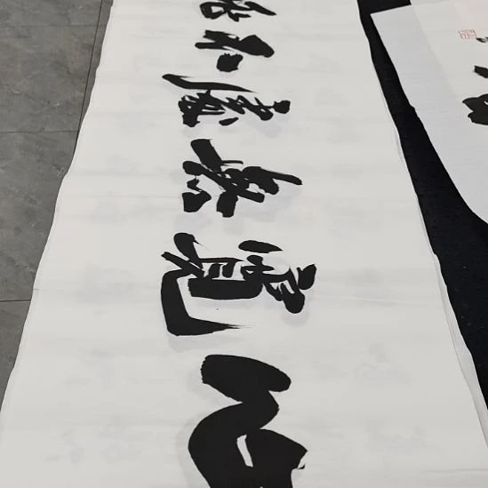 翰墨申国栋老师作品一副