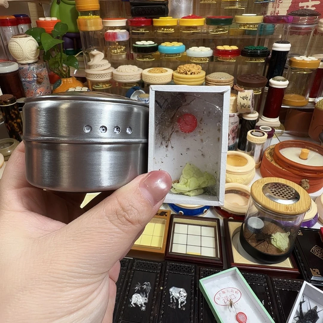 心***稳拉子➕白虫一个一只