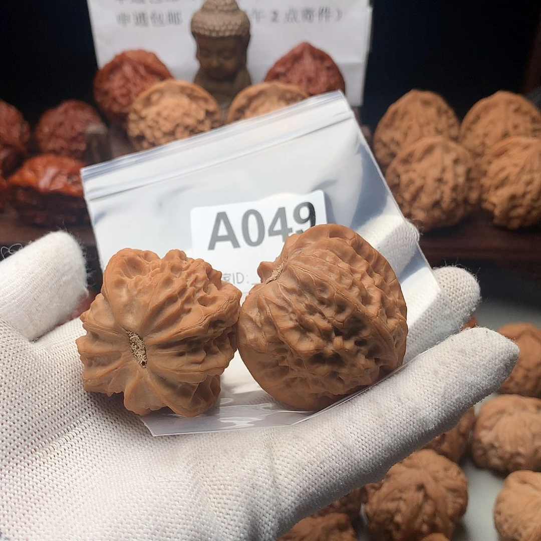 诉***寻核桃盘山弗肚核桃049