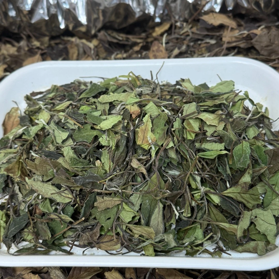 2023年荒野寿眉【日晒寿眉】 荒野白茶 高山老树白茶 福鼎白茶源厂