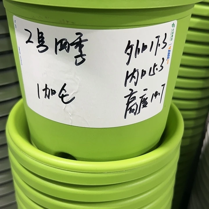 特价2号口17高14白色10只无托