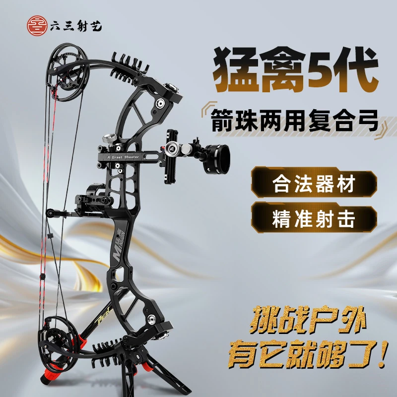 猛禽5代复合弓比赛用品赛事专用高精度合法合规体育器械