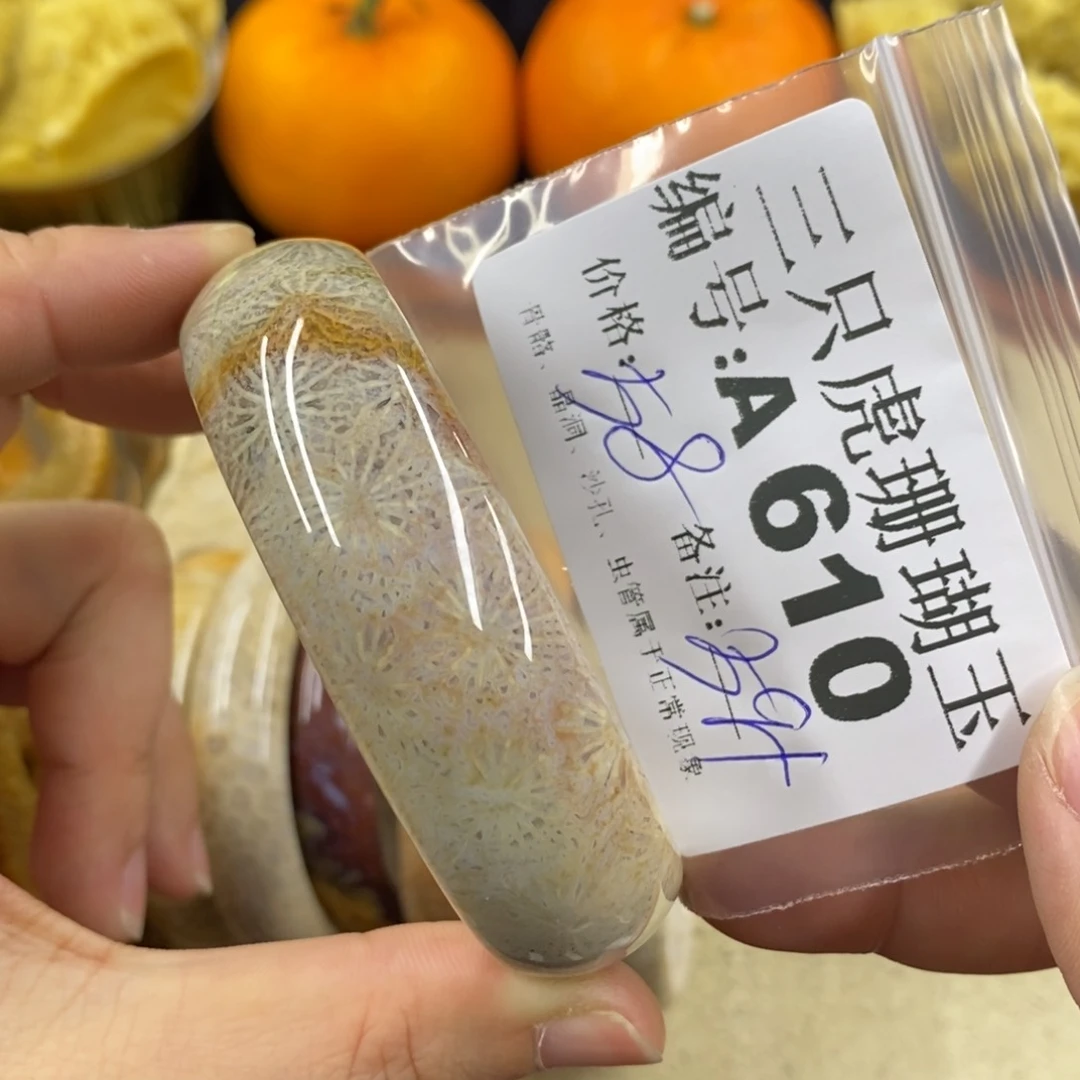 硅化珊瑚（珊瑚玉）1未镶嵌芯*