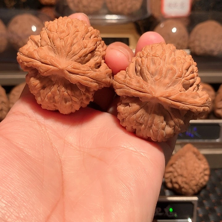 见***己文玩核桃把件蚂蚁王