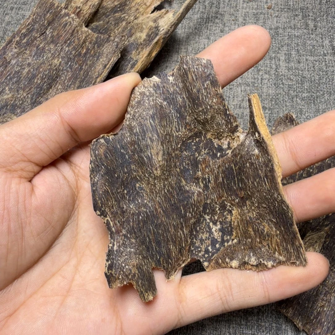 香榧木黎母山奇南泡8.3克