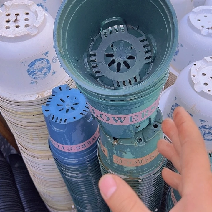 加仑盆口径15.5高15.5发11个