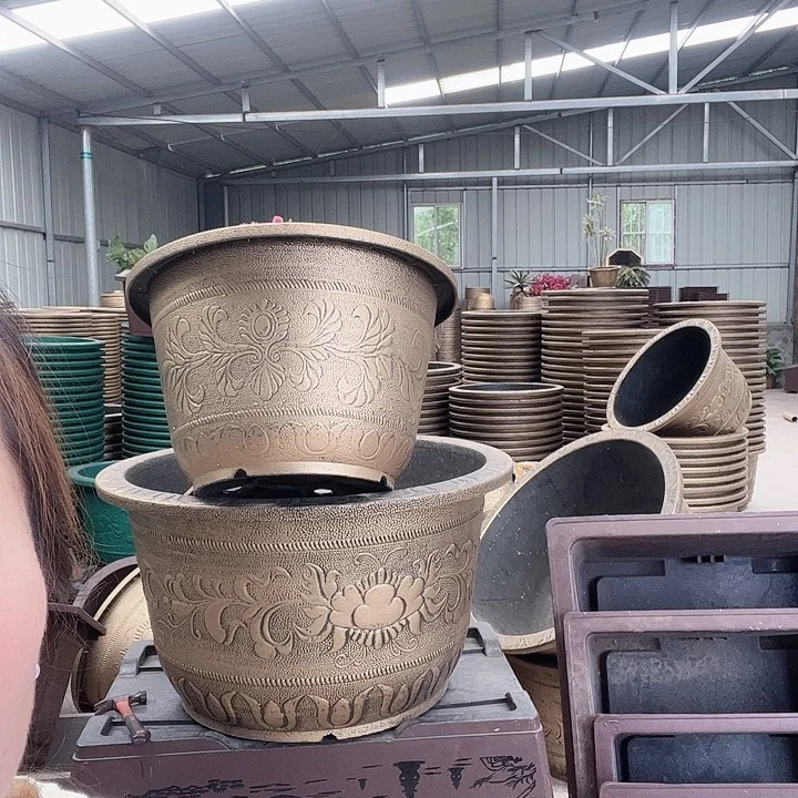 盆景0896988589855699