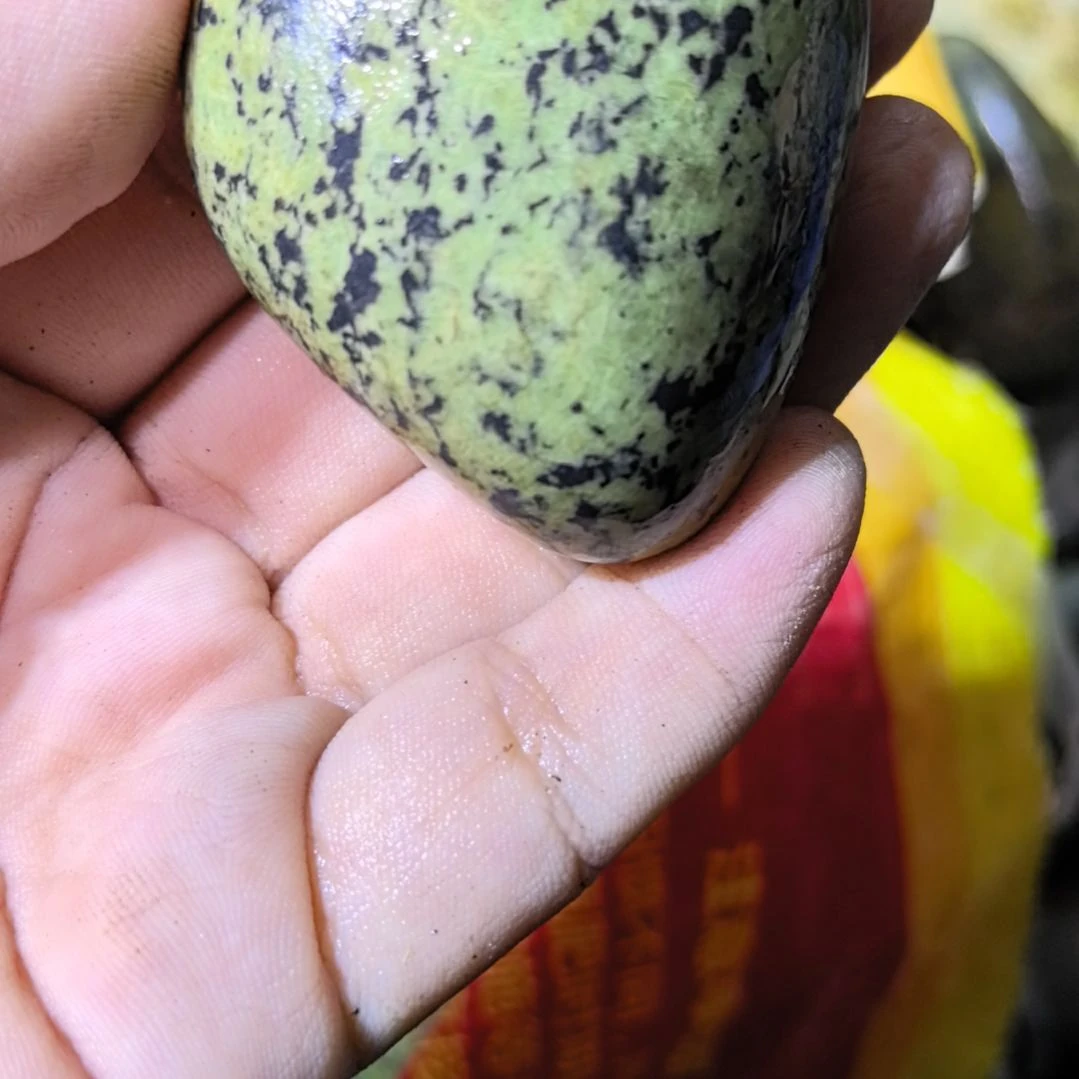 绿***山有机玻璃藏玉药王石原石手把件一个