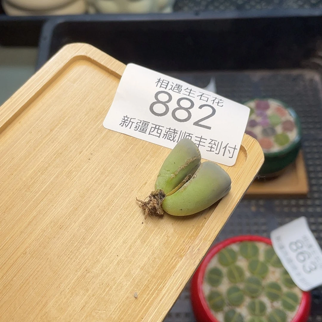 点相遇浮力微瑕882