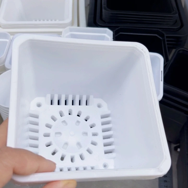 白方口13高10一组10