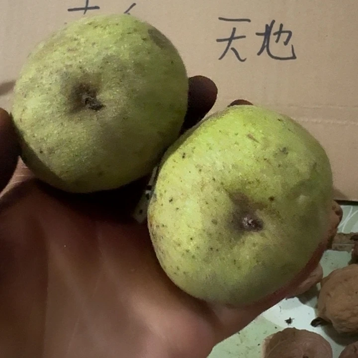 吊坠文玩核桃司**落元宝青皮