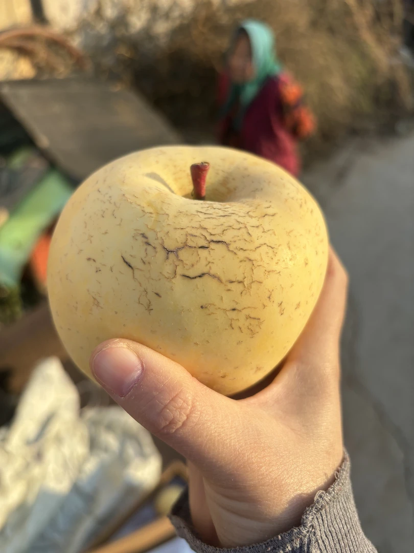 【瑕疵果】正宗烟台栖霞奶油富士苹果