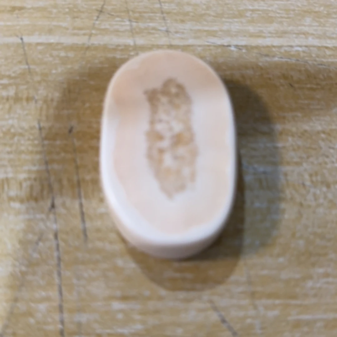 猛犸猛犸虬饼子 WT259