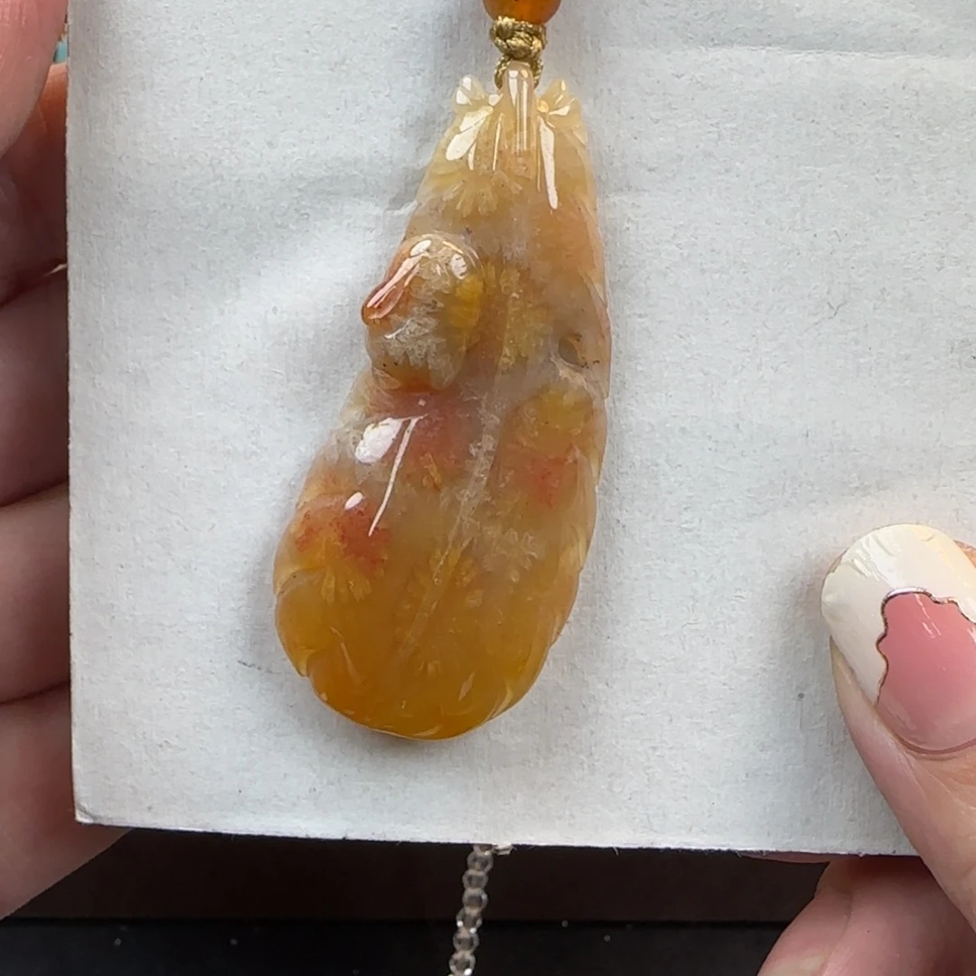 硅化珊瑚（珊瑚玉）未镶嵌颈饰