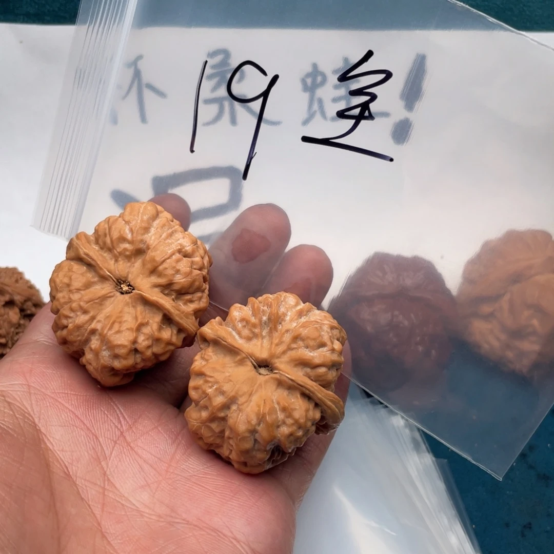 核桃753357753753357753537
