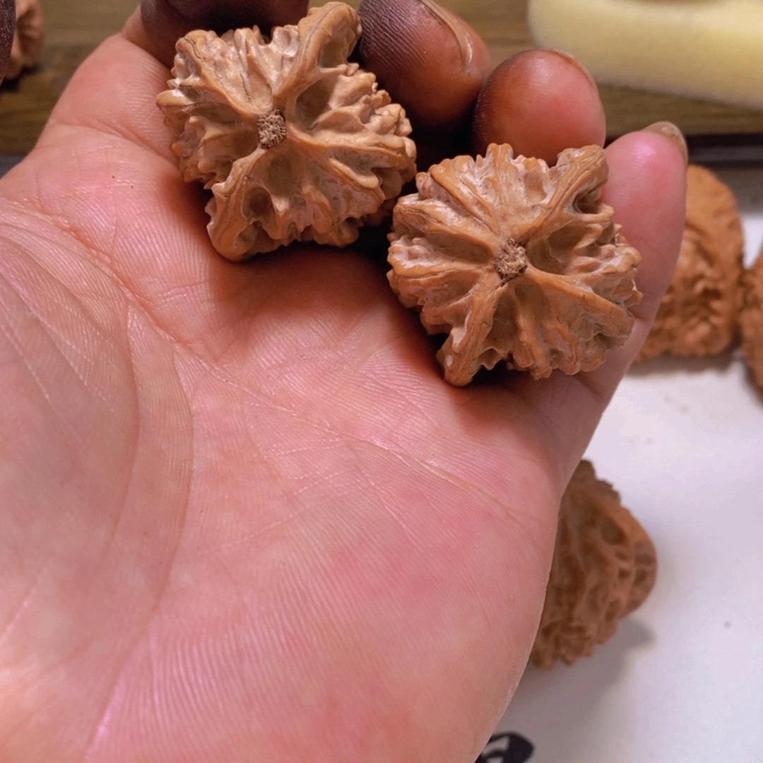 奥***萌文玩核桃吊坠文玩核桃剑齿虎