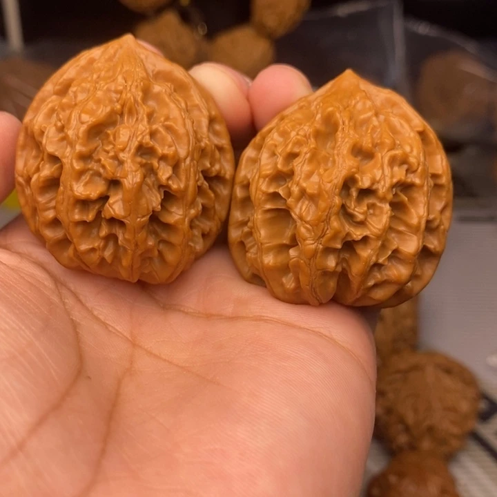 把件桃核时*九龙筋