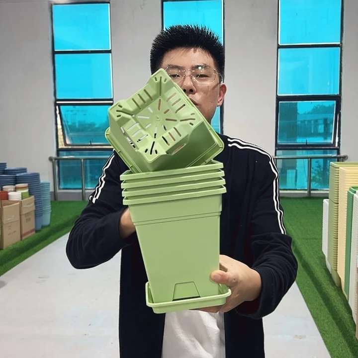正品方盆口16高18果绿5只带托