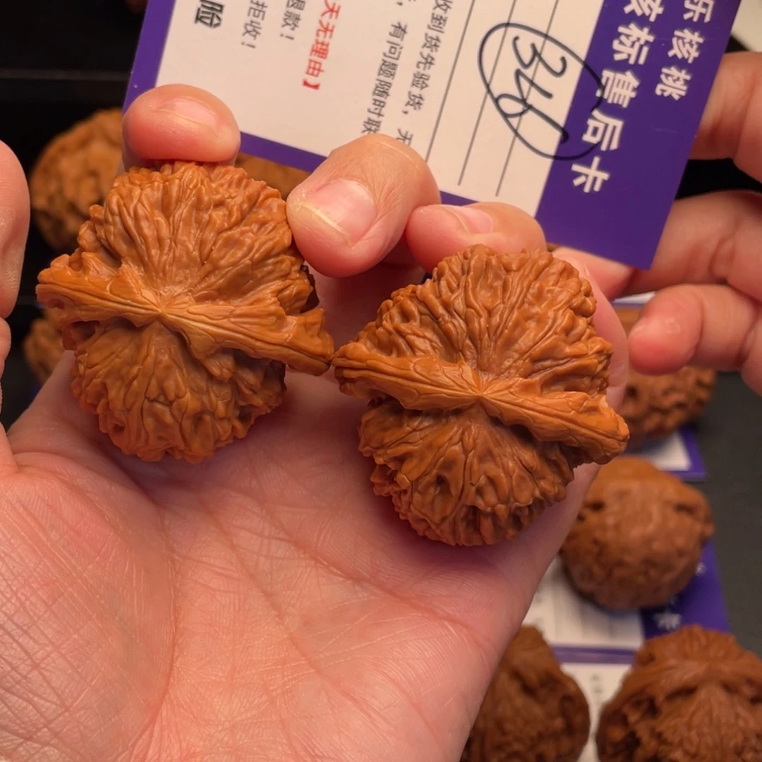 文玩核桃把件白狮子42