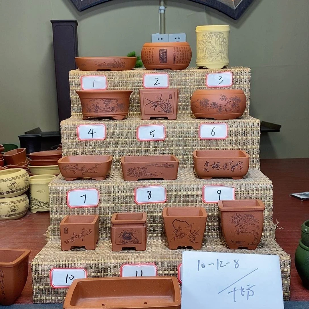 紫砂花盆努***上我在等他