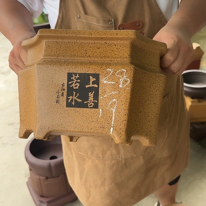 这是什么神仙爱情