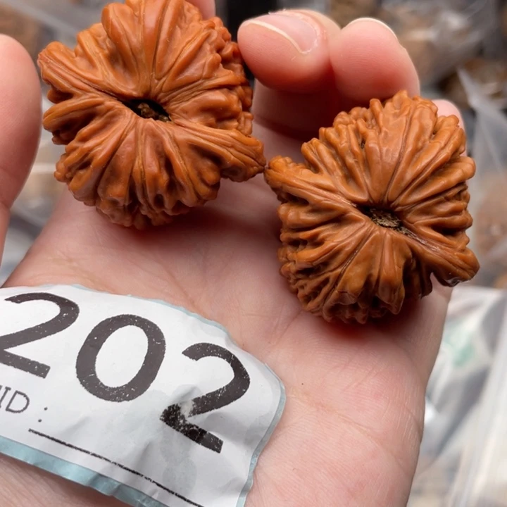 文玩核桃吊坠核桃