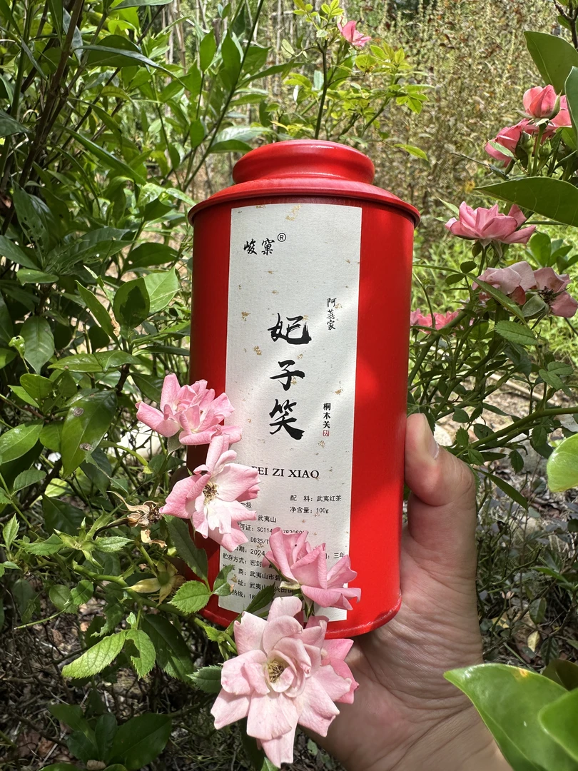 妃子笑100g 【武夷红茶·正山小种】生态，桐木关，罐装