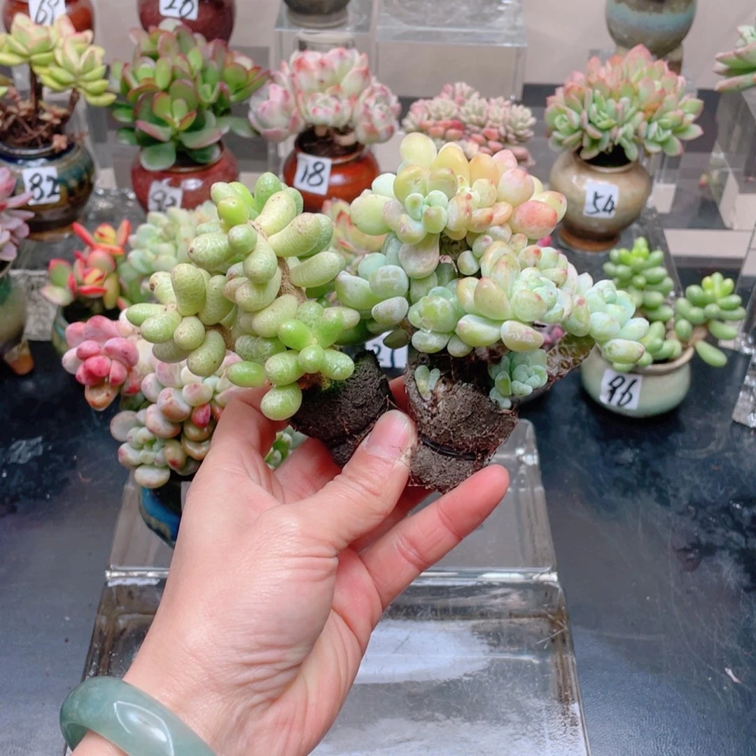 无铅玻璃边**角花器花器花器好玩