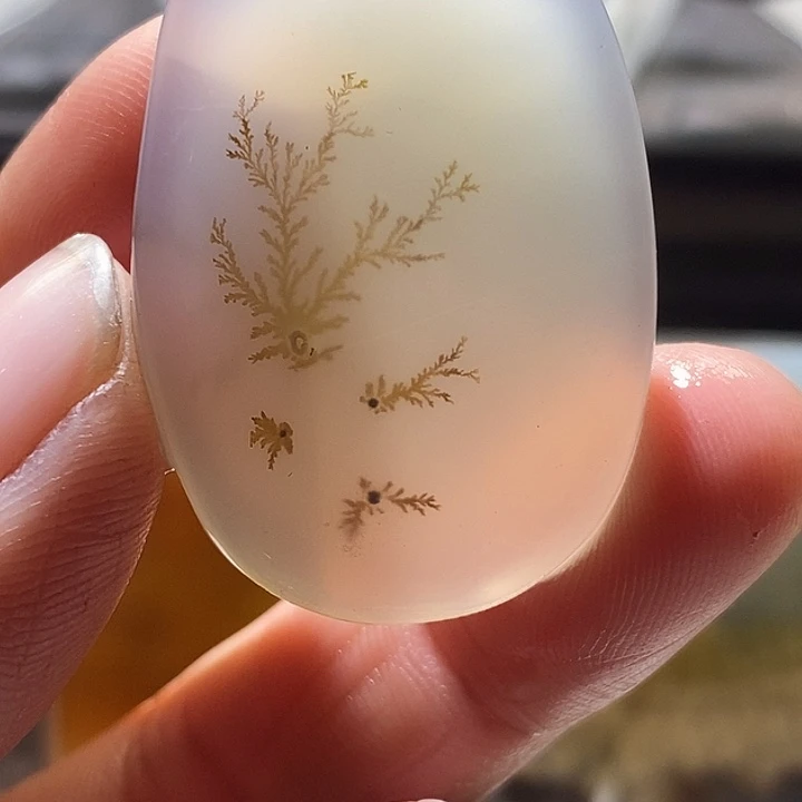 查罗石未镶嵌颈饰