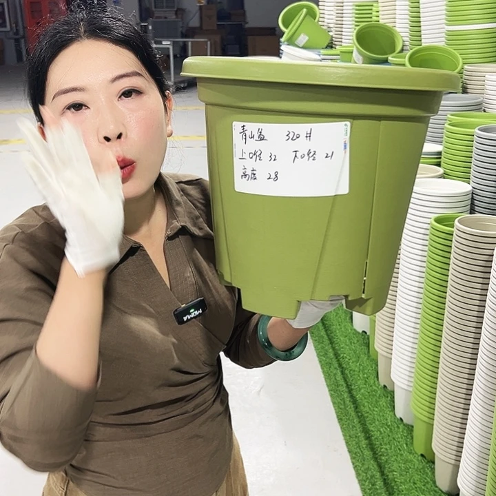 青山口32高28果绿5只无托