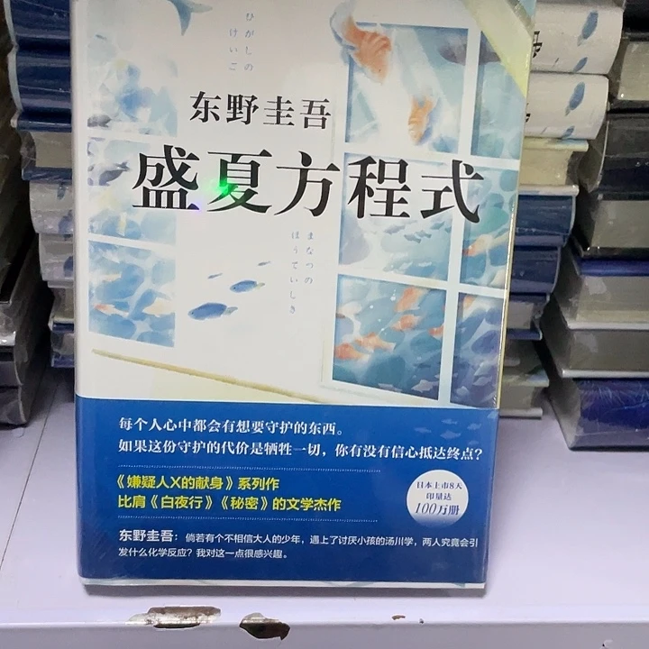 盛夏方程式 精装带塑封